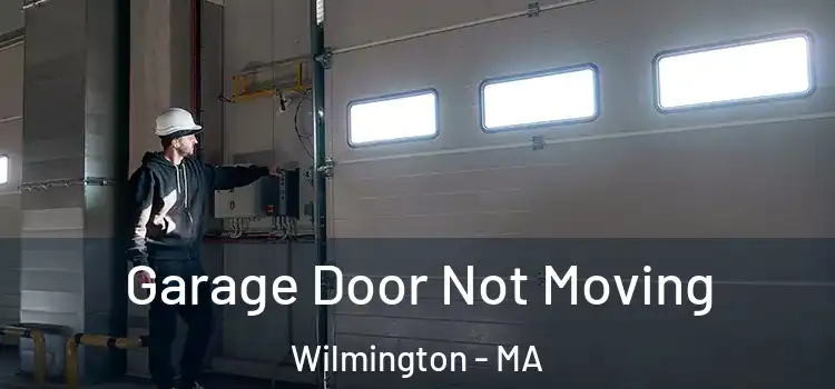 Garage Door Not Moving Wilmington - MA