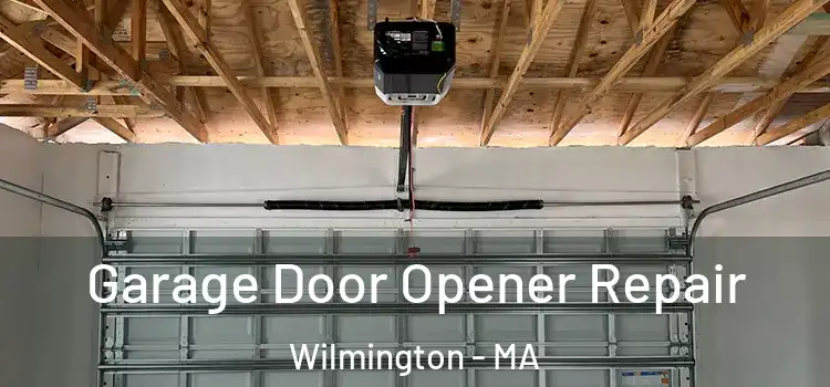  Garage Door Opener Repair Wilmington - MA