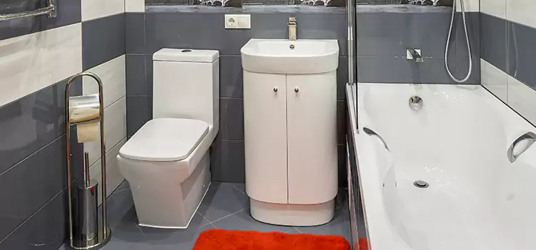 Hansgrohe Shaving Mirror Wilmington