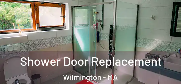 Shower Door Replacement Wilmington - MA